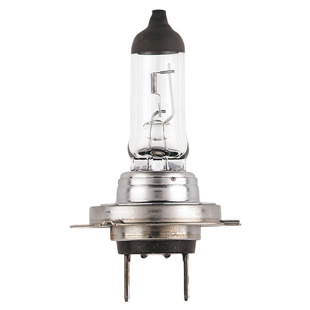 Globe H7 12V 55W Halogen Premium Model Narva 95200015 48328