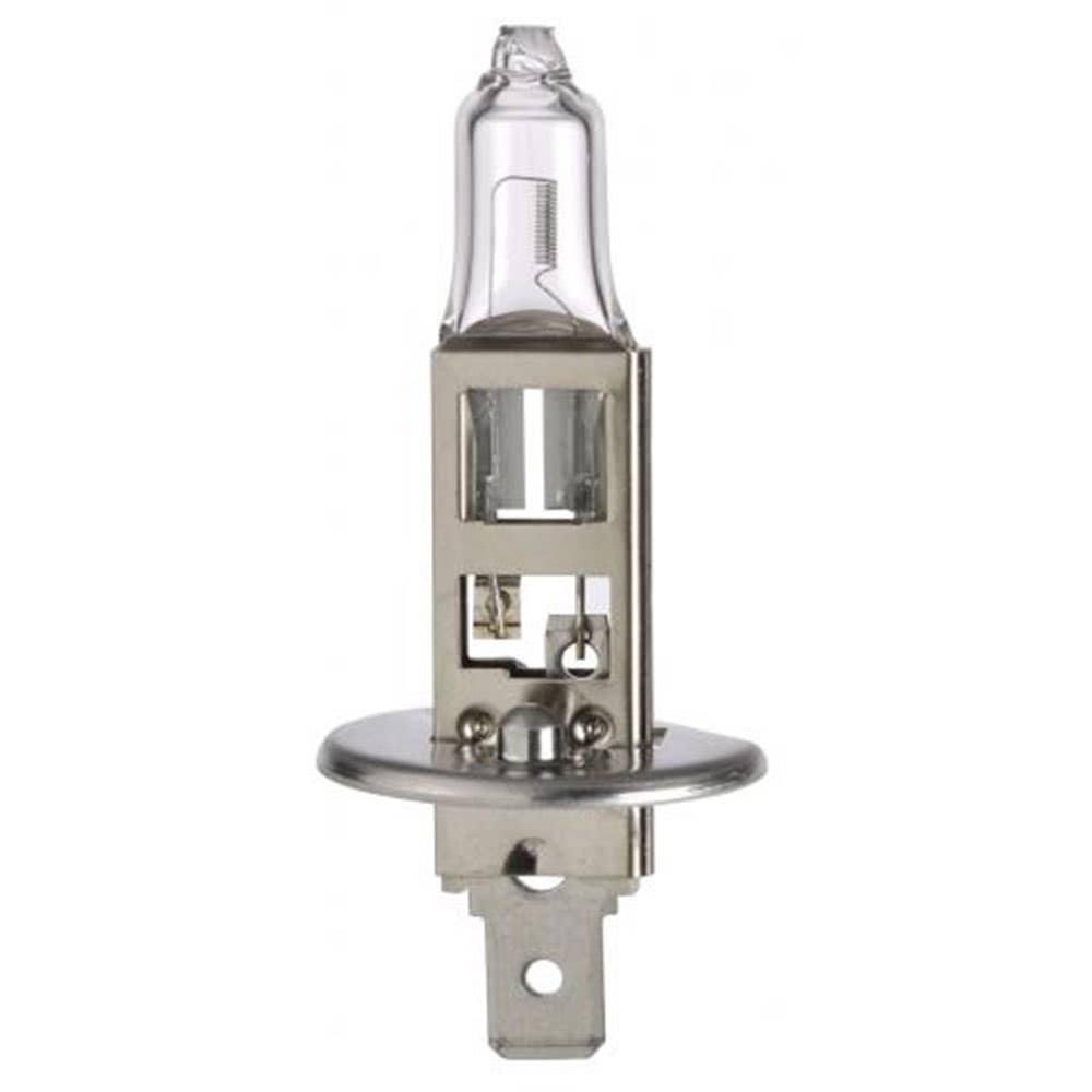 Globe H1 24V 70W Narva 95201042 95201042 48705BL2