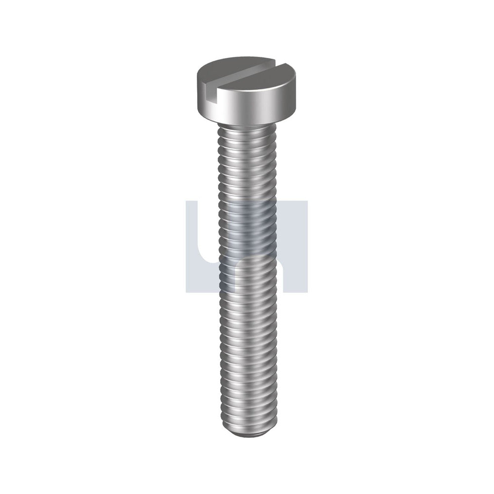 Metal Thread Cheese Slot 304 Stainless Din84/A2 M5 60 - Pk 100_40092739_MS04ESM050060
