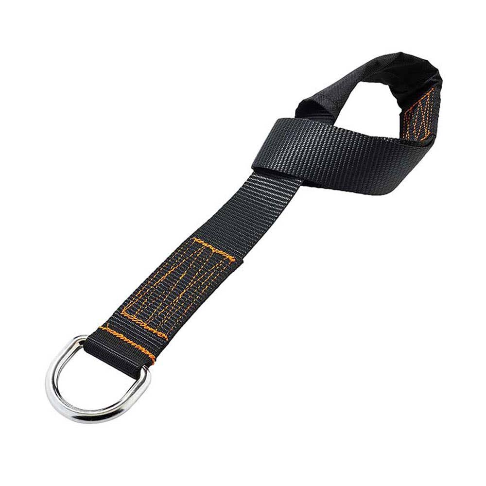 Accessory Anchor Heavy Duty D-Ring 431747 19176