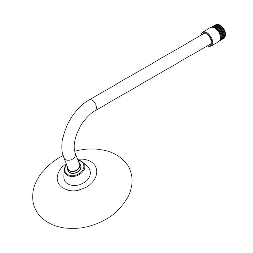 Shower Arm & Rose For Emergency Shower 460618 ESPE005