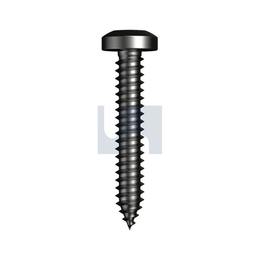 ST Pan Phil Zinc Black Pass Ansi B18.6.3 Ab #12-14 5/8'' - Pk 1000_40101321_T9PSVPP1214062