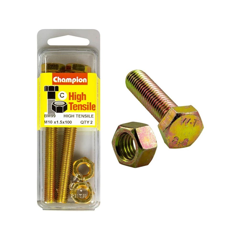 Screw Set + Nut Fully Threaded 10 x 100mm Blister Pack 60039746_60039746_BM99