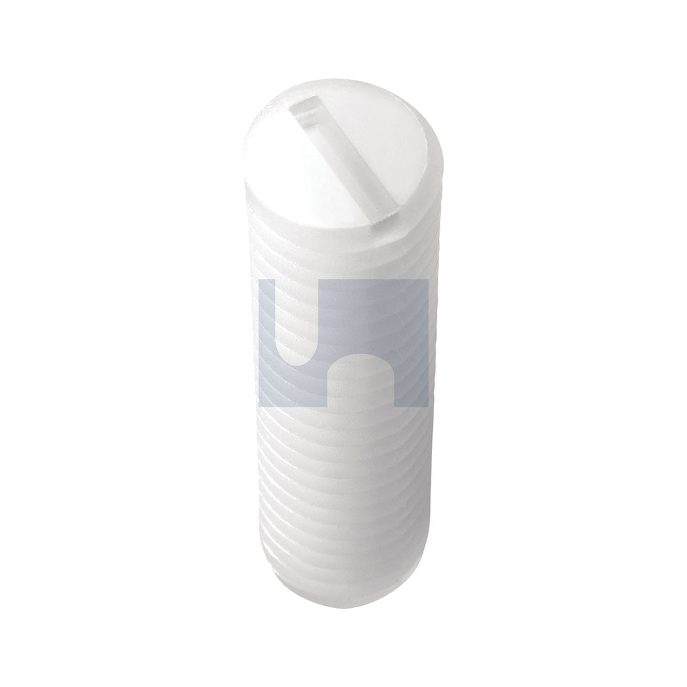 Skt Grub Screw - Slotted Nylon Natural Din 551/Nylon M5 35 - Pk 100_40100864_SG66PSM050035