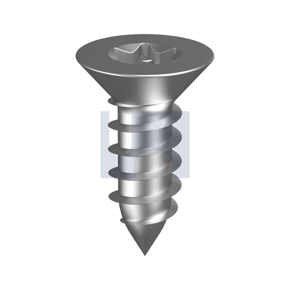 St Skt Csk Post Torx 304 SS Hec Security/A2 #10 1-1/4'' - Pk 100_40099539_I04SSCT1016125