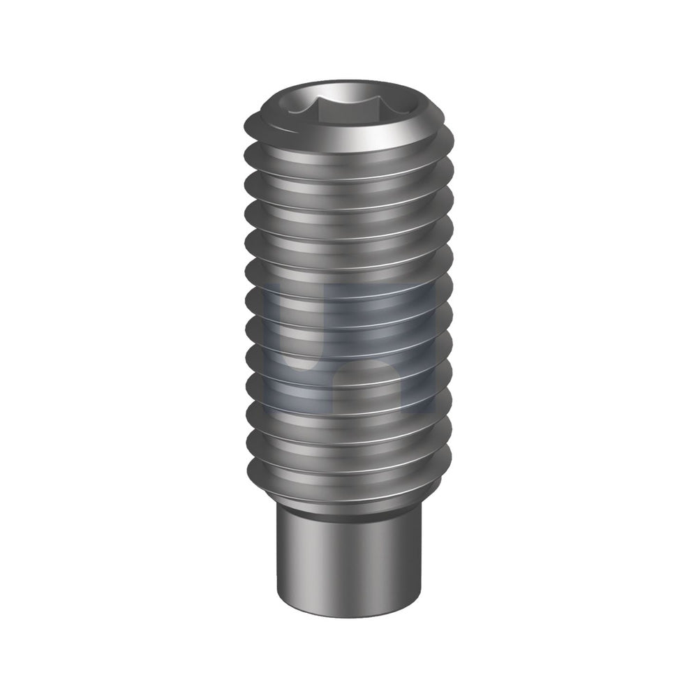 Socket Set Screw Dog Point Plain Din 915/Alloy Steel M6 8 - Pk 100_40100792_SSSDPCM060008