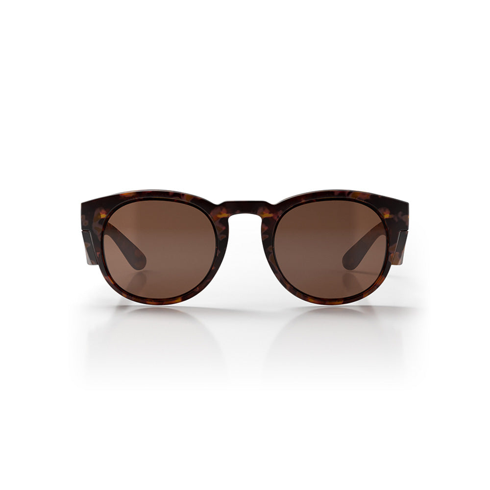 Glasses Cruisers Matte Tort Frame Brown Polarised Lens Cruisers SafeStyle   CRMTBRP100_40057677_CRMTBRP100