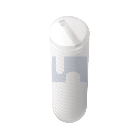 Skt Grub Screw - Slotted Nylon Natural Din 551/Nylon M4 8 - Pk 100_40100848_SG66PSM040008