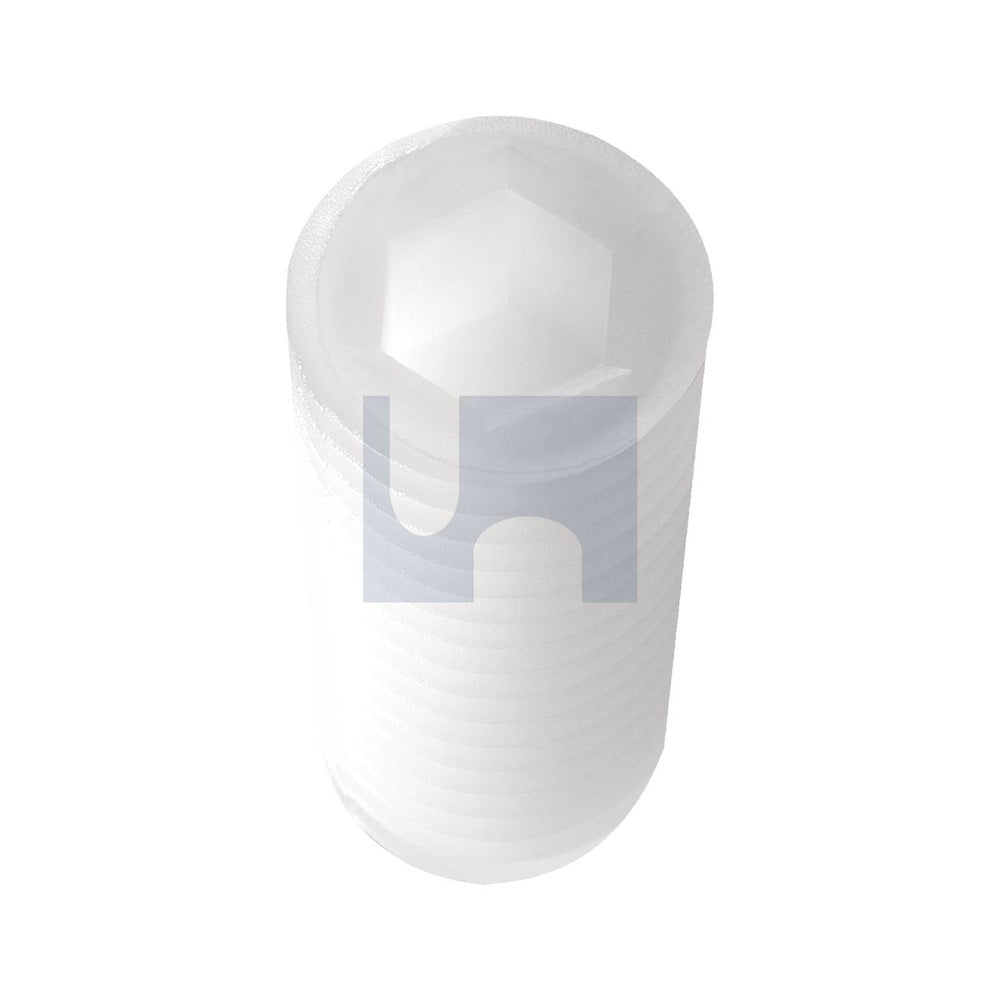 Socket Grub Screw - Hex Nylon Natural Din 913/Nylon M5 12 - Pk 100_40100832_SG66PCM050012