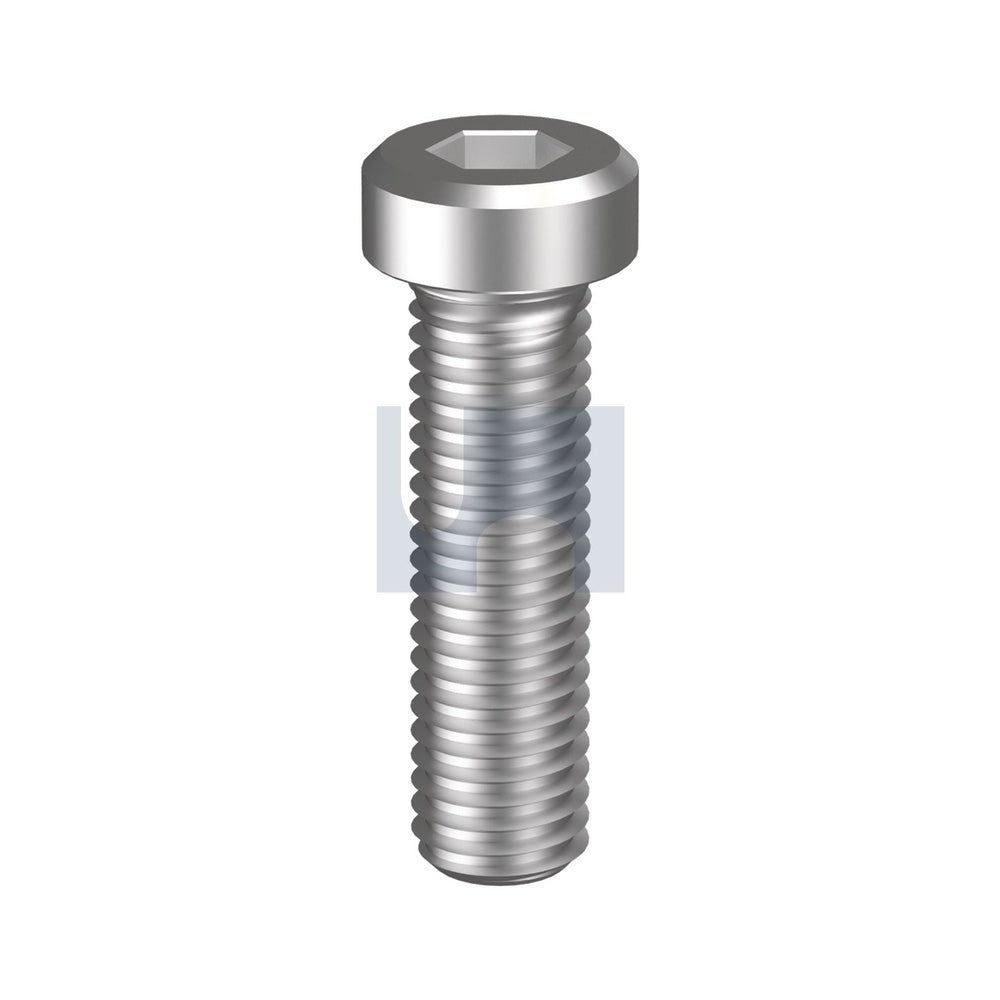 Socket Low Head Cap Screw 304 Stainless Din 7984/A2 M6 20 - Pk 100_40100955_SL04PCM060020