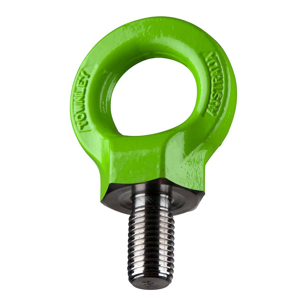 Bolt Eye Lifting 0.25t Grade 8 10mm Townley 36000752 HTEB10