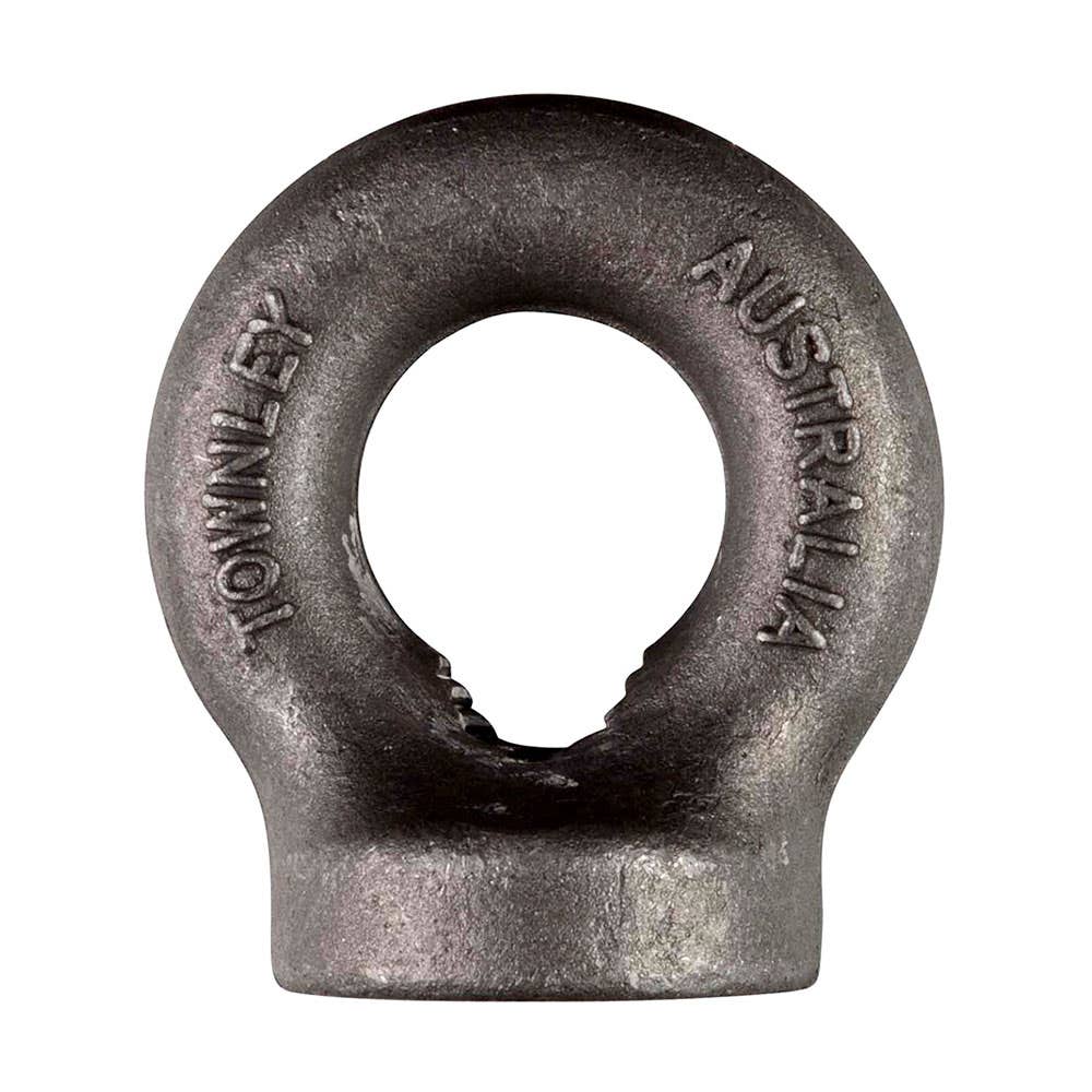 Eyenut Metric Coarse Black Lifting WLL 0.25t 10mm Townley 33600061 ENMC10