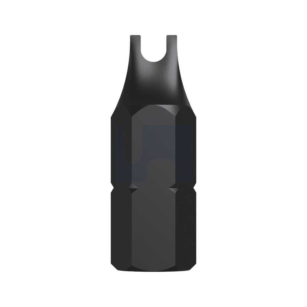 Bit Eye Drive Plain Security Socket Bit No.6_40099586_ISBED06
