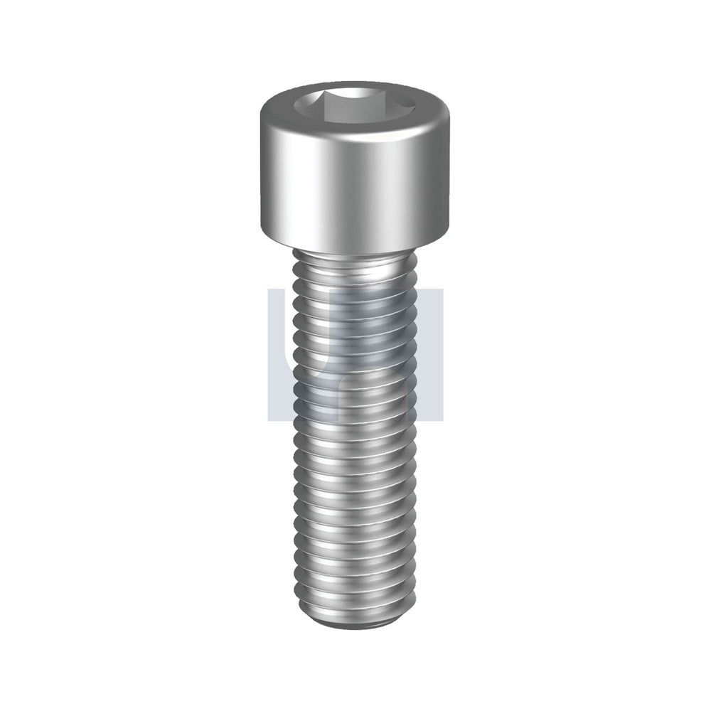 Socket Head Cap Screw 316 Stainless Din 912/A4 M10 12 - Pk 50_40100393_SH16PCM100012