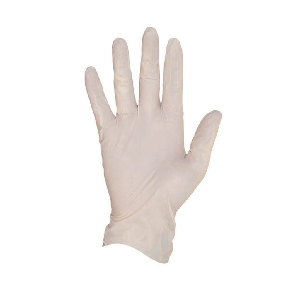 Stretch Vinyl Examination Powder Free Gloves White 1,000 Box_4102