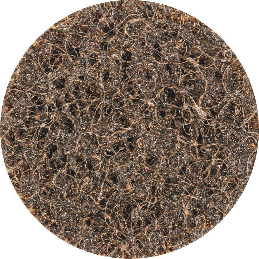 Pferd Roloc Discs Coarse 50mm 5 Pack 307121 47200081