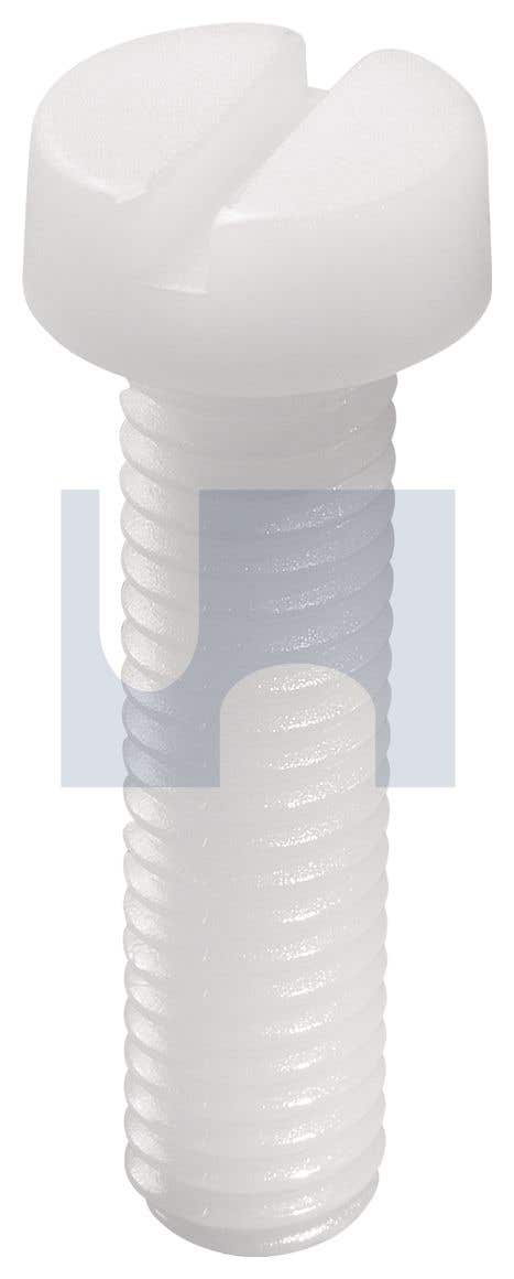 Screw Metal Thread Cheese Head Slotted DIN84 Nylon Natural 5 x 50mm 79907494 MS66ESM050050