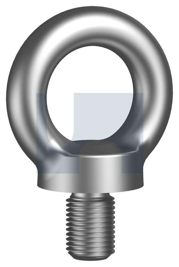Bolt Eye Collared 316 Stainless Steel 8mm 79907274 HEC16PM08