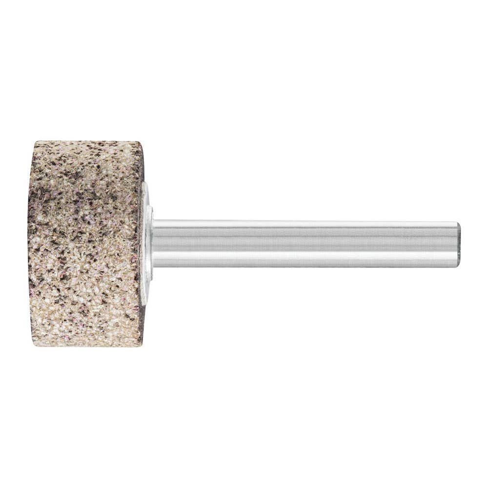 Point Mounted ZY2513 30 Grit 25 x 13 Pferd 253584 31323743
