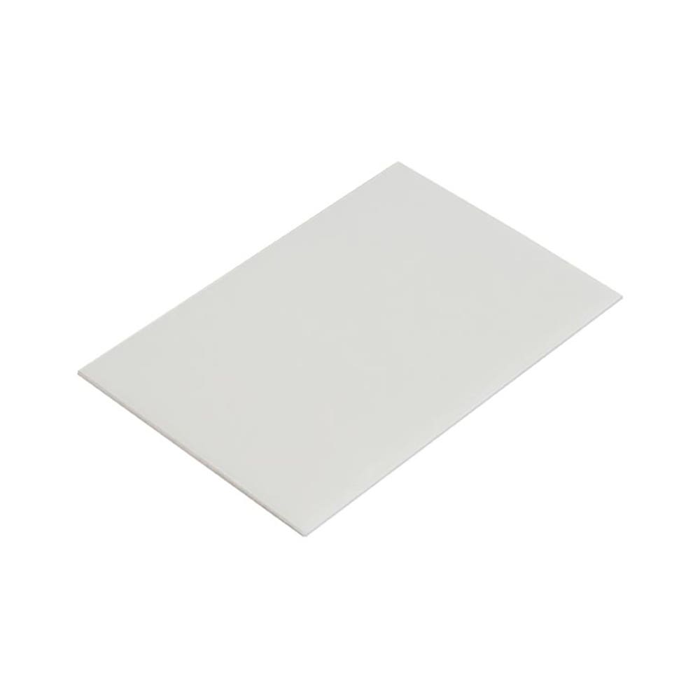 PAPR Inner Protection plate for Verus Omnira COMBI pack10    R100/65 40060361 R100/65