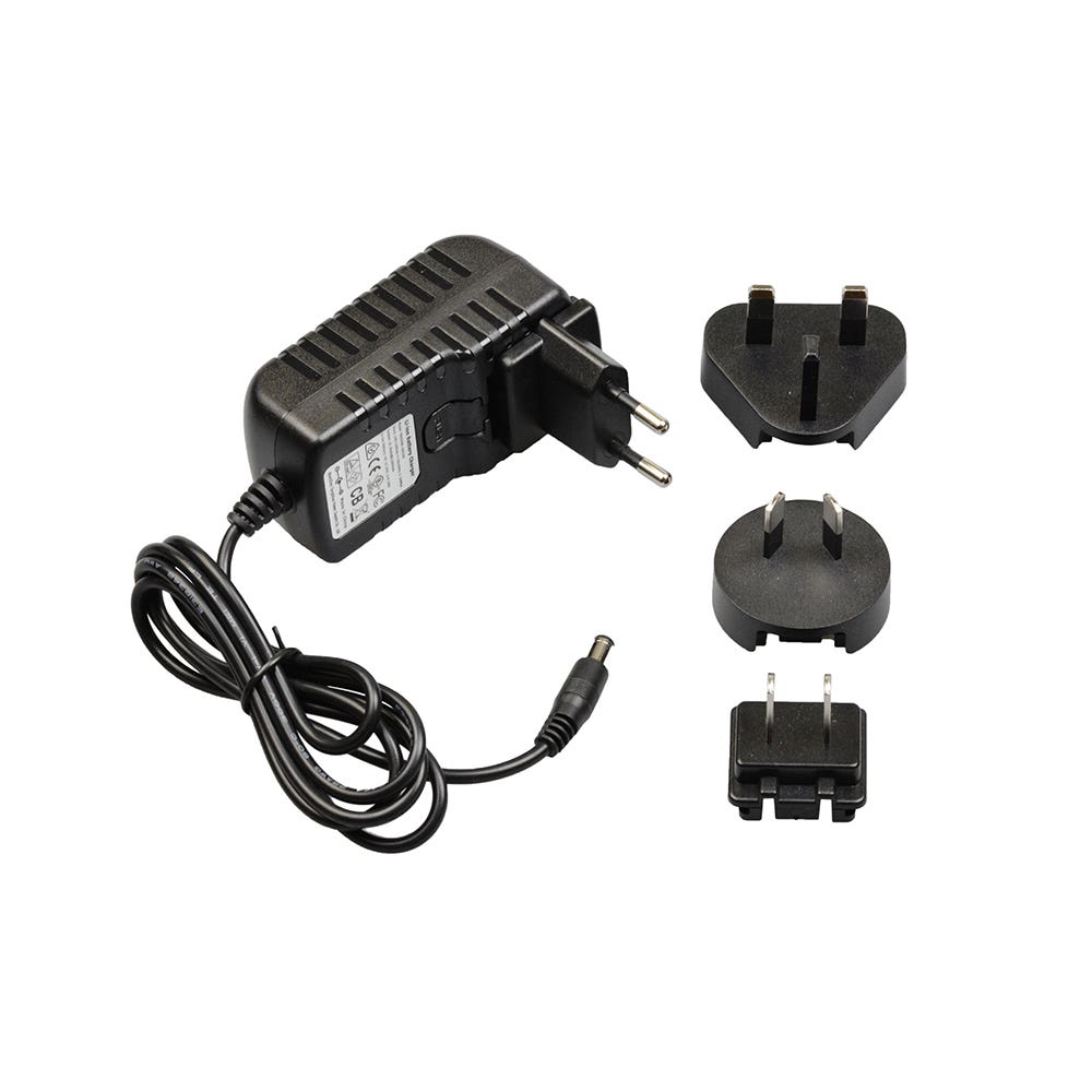 PAPR Replacement charger for AerGO (multi-plug)    R310030 40060431 R310030