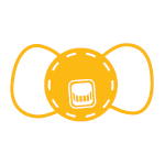 Respiratory Protection Respiratory Protection
