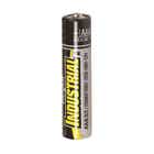 AAA Industrial Alkaline Battery 3425001 E300643900